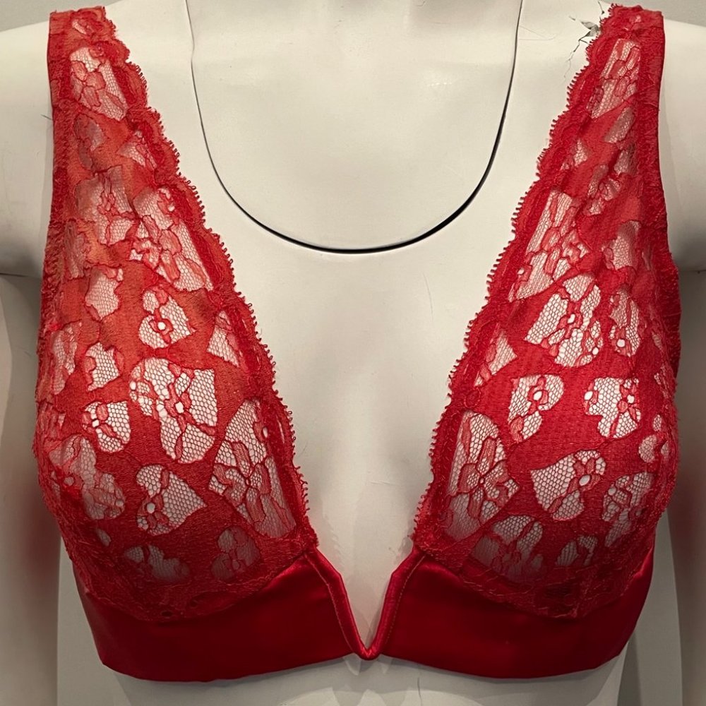 BNWT Mimi Holiday Poison Ivy Bra Red Lace Plunge Small
